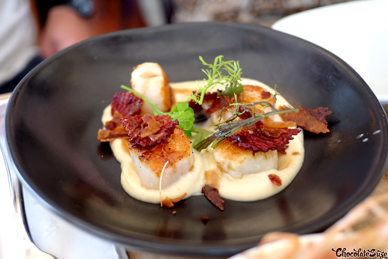 Seared scallops, The Herring Room, Manly